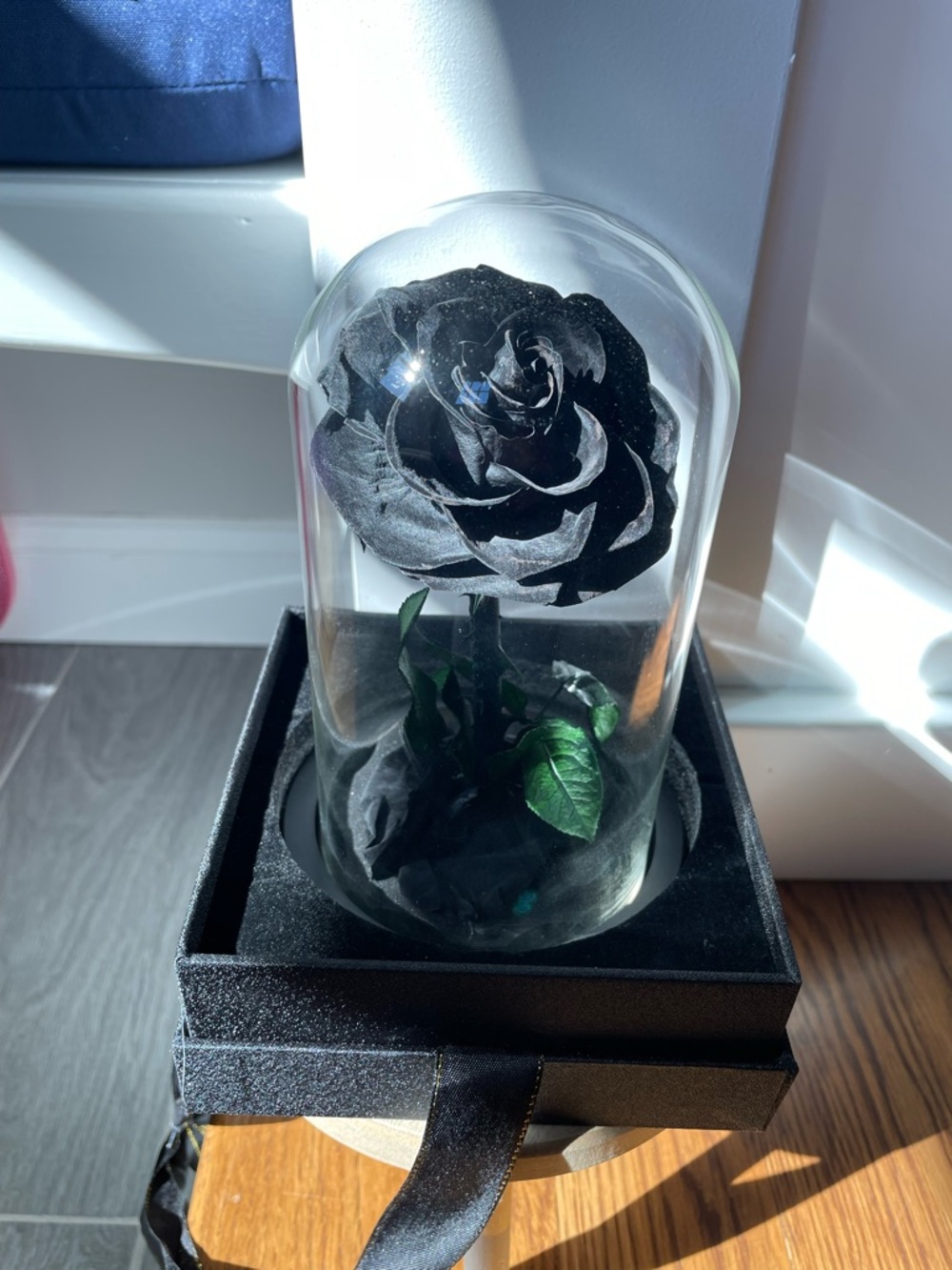 NATROSES Handmade Preserved Black Rose in Glass Dome New in Box Halloween